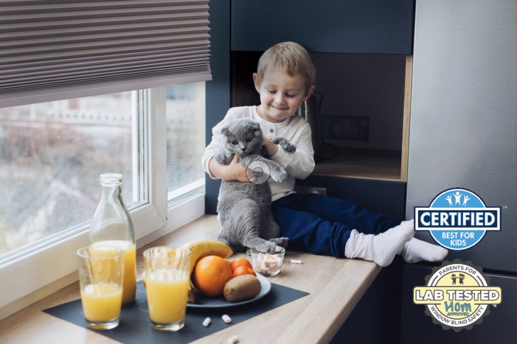 家具褪色、皮革乾裂？罪魁禍首是陽光！蜂巢簾居家防曬抗UV全面升級 芮格居家進駐磐德廚藝玻璃屋會客空間  客製化無段上下雙開  遮光兼顧隱私