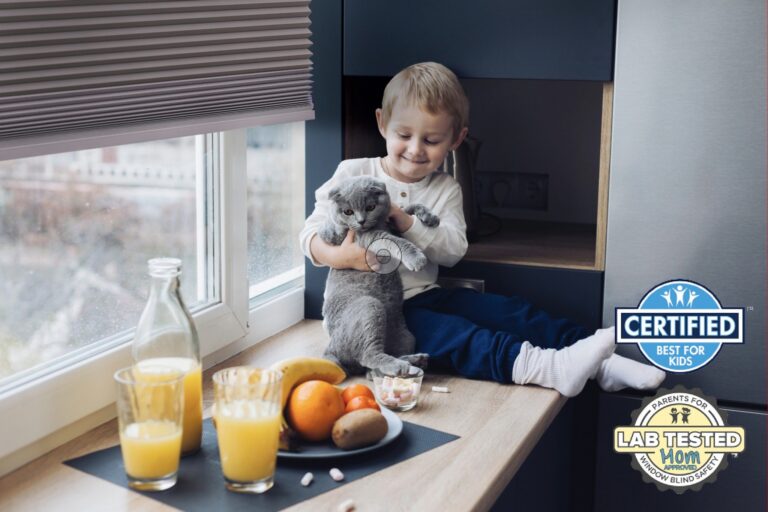 家具褪色、皮革乾裂？罪魁禍首是陽光！蜂巢簾居家防曬抗UV全面升級  芮格居家進駐磐德廚藝玻璃屋會客空間  客製化無段上下雙開  遮光兼顧隱私