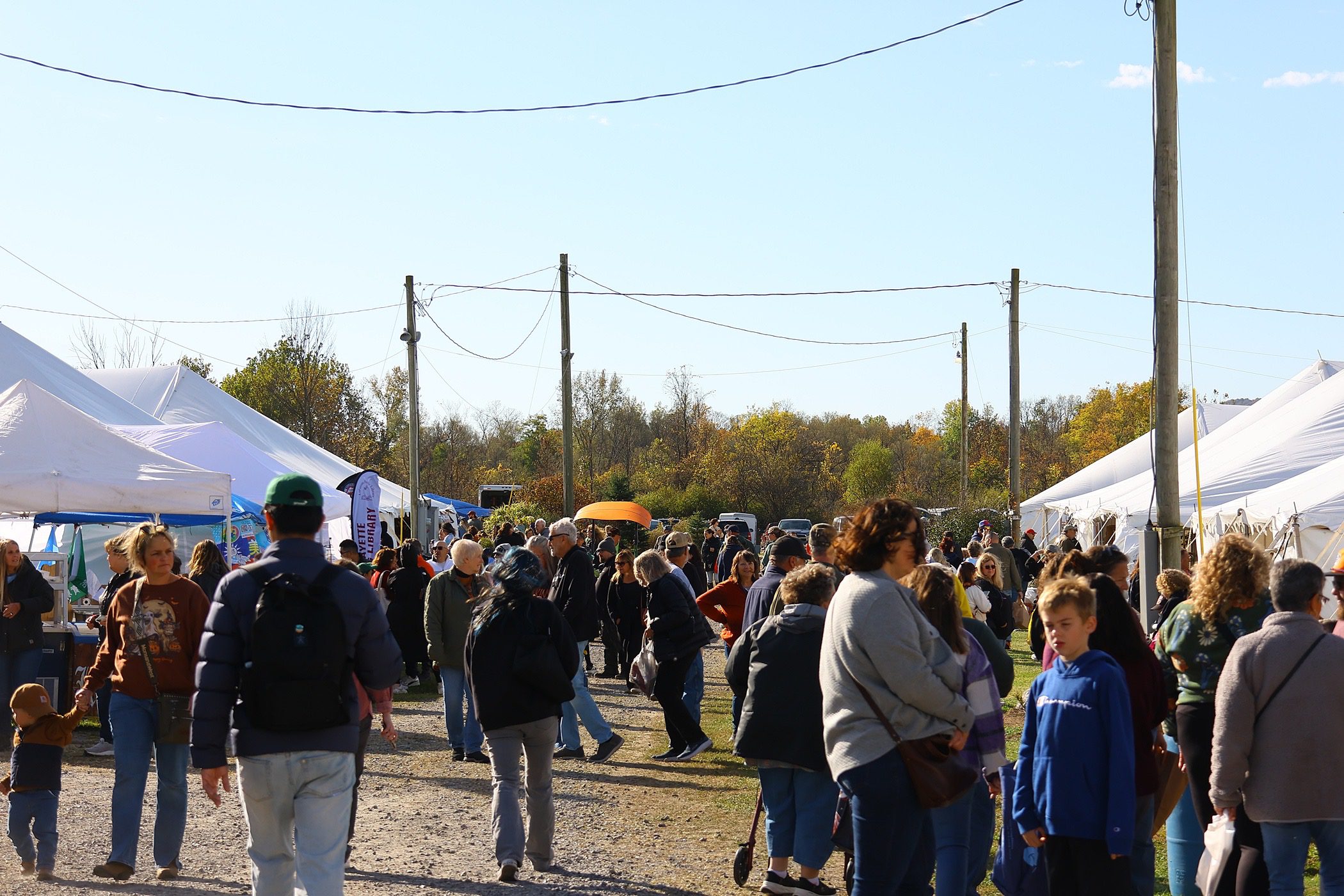 童軍前進雪城蘋果節行銷嘉義　黃敏惠讚：最優質小小外交官