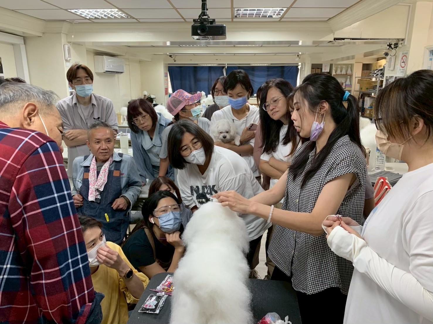 搶攻寵物產業商機！基隆推寵物美容職能養成班　助失業及弱勢培訓專業技能 | 索引新聞 INDEX News
