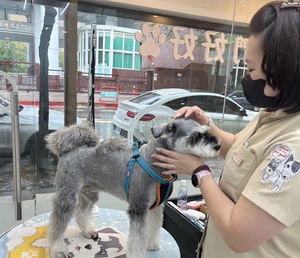 寵物美容業導入雲端方案數位轉型計畫 艾美力科技整合寵物美容預約系統 寵物美容業導入雲端方案數位轉型計畫 艾美力科技整合寵物美容預約系統