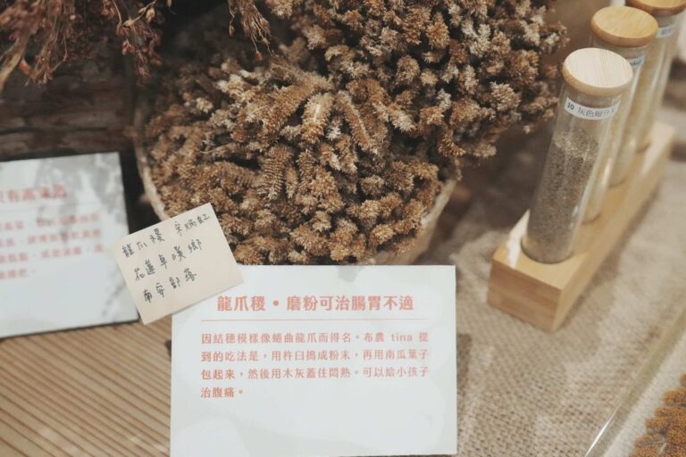 慈心基金會偕里仁誠食市集舉辦「小米狂熱」特展      邀請民眾認識花東部落的糧食文化
