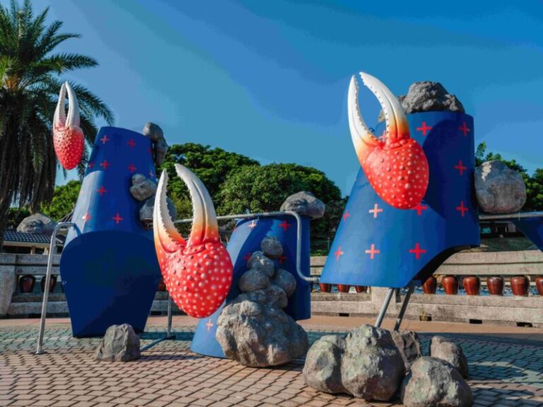 清水走走藝術季邀隨潮汐旅行  傾聽濕地的聲音與招潮蟹共舞 