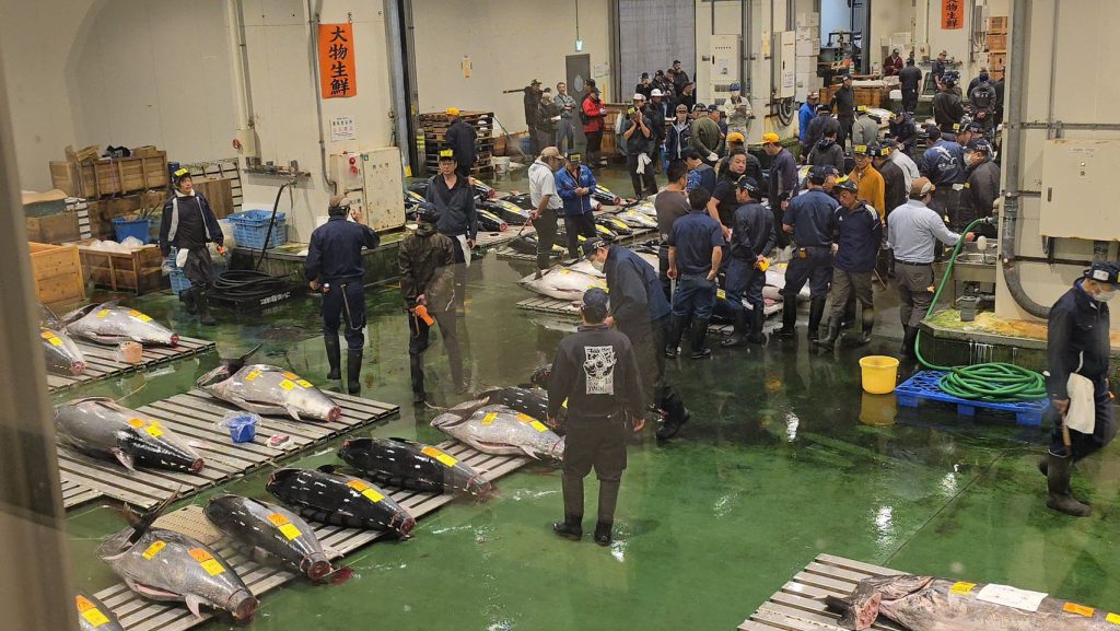 基隆市長謝國樑率團赴東京考察豊洲與築地市場　 | 索引新聞 INDEX News