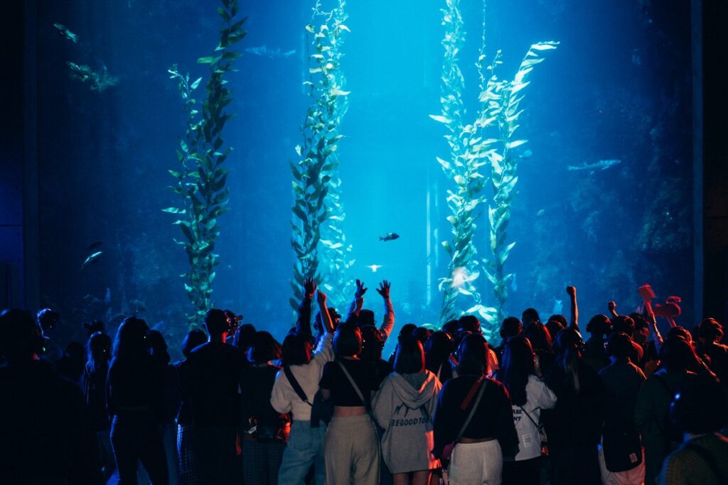 讓腳步跟著浪！海生館25週年 舉辦「海洋生活祭」點亮恆春夜