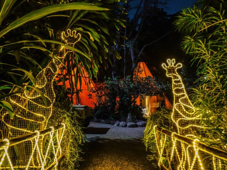 可樂旅遊春節限定包場派對 新加坡動物世界親子遊