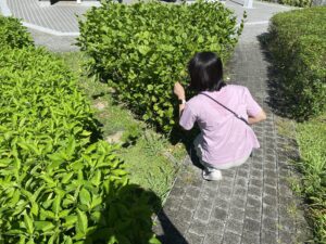 暗香湧動！北市景勤一號公園香草園　打造都市中的療癒綠洲