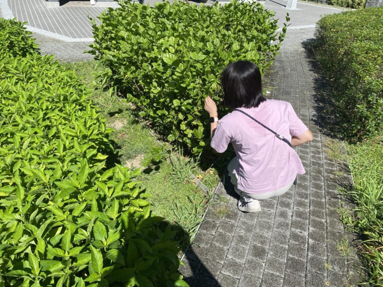 暗香湧動！北市景勤一號公園香草園　打造都市中的療癒綠洲