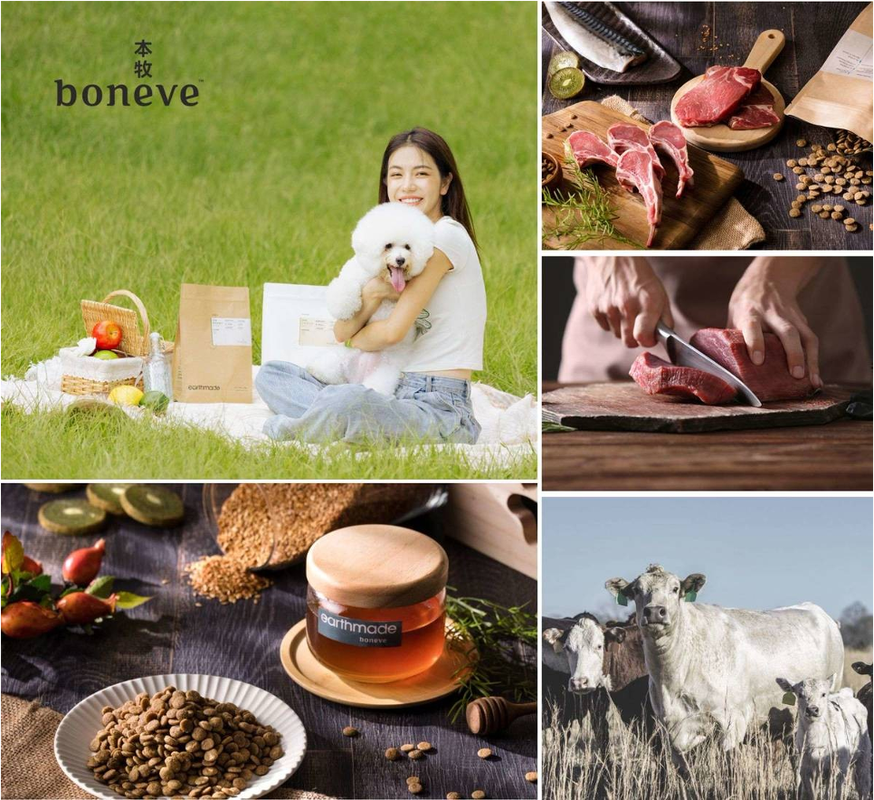 毛孩搶雙11補貨！本週台北世貿寵物展10/31-11/3超越雙11囤貨節