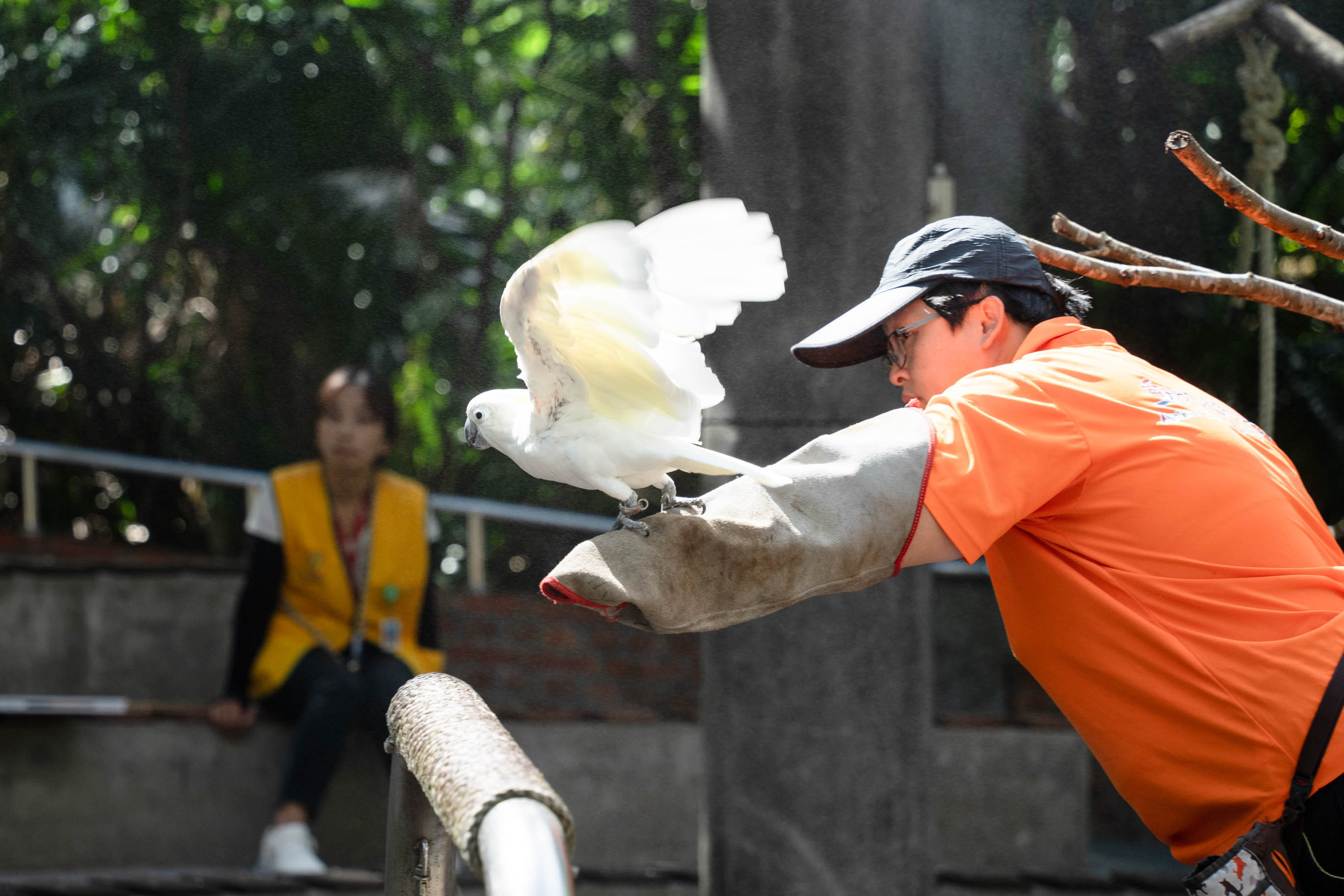 接軌國際！北市動物園第三屆展演動物福利研討會　探討動物互動界線 | 索引新聞 INDEX News