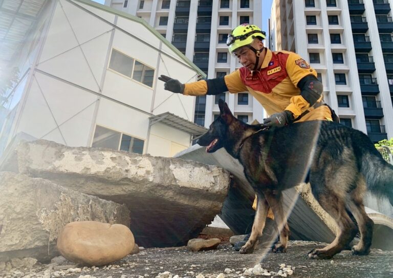 竹市搜救犬Brook通過IRO國際測驗　再添國際認證戰力