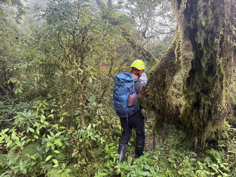 宜蘭阿玉山傳2山友失聯　警消趕颱風來襲上山搜索