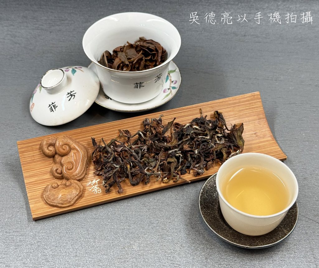 台灣光復節品賞台灣最高海拔的野放東方美人茶