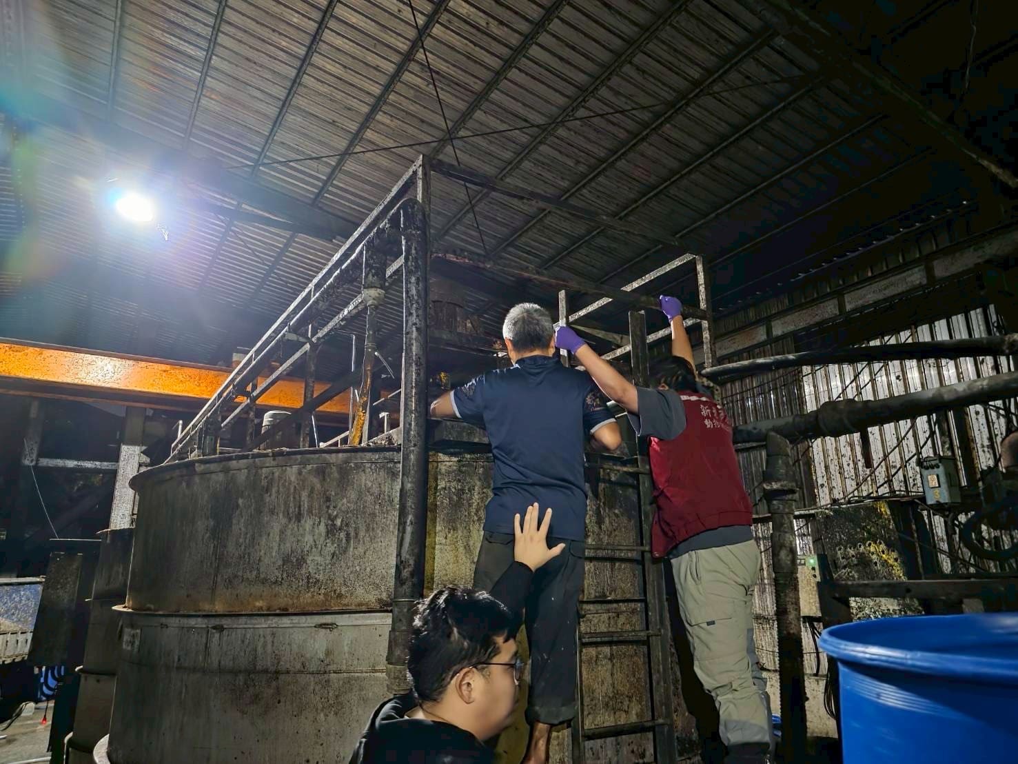 新北再查獲違規餵食廚餘養豬場 重罰206萬並禁上市及取消補助 新北再查獲違規餵食廚餘養豬場 重罰206萬並禁上市及取消補助