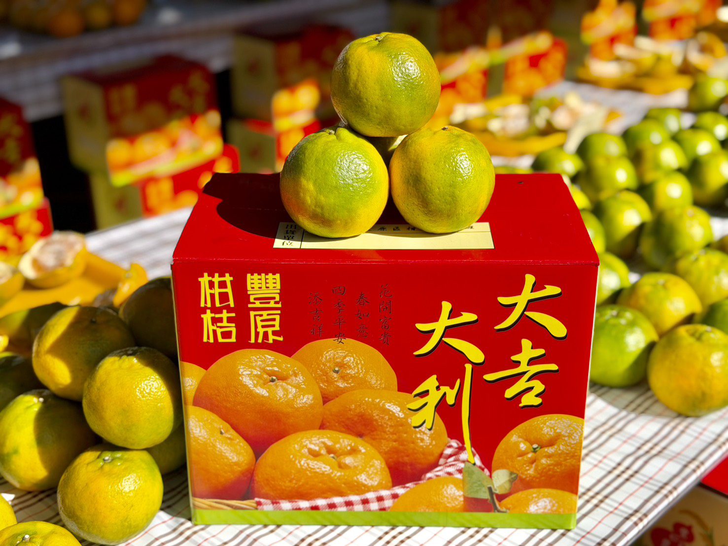 中市優質椪柑評鑑結果出爐　東勢區詹前慶榮獲今年「椪柑王」