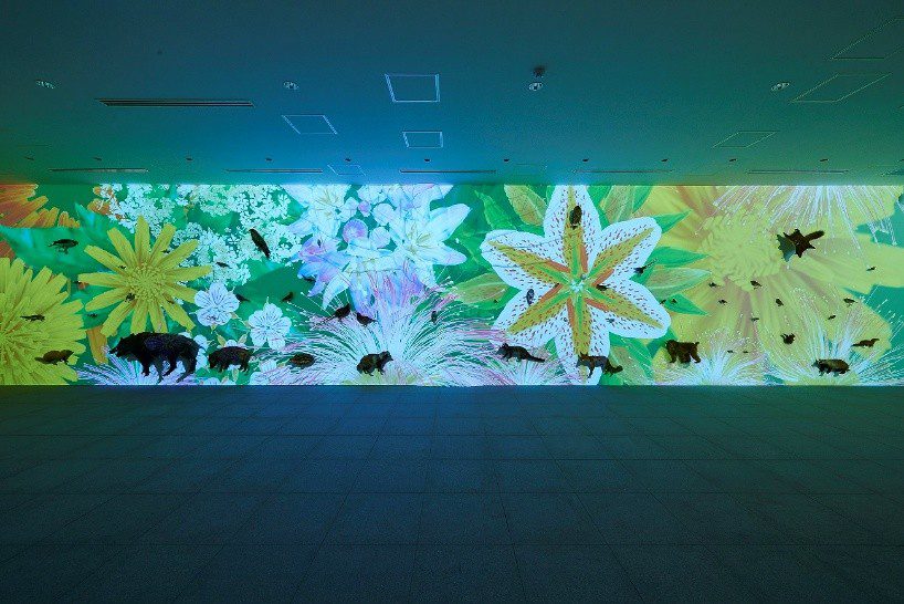 東京人文賞楓三熱點 江戶庭園 高尾山博物館 深大寺等紅葉與文化交織 東京人文賞楓三熱點 江戶庭園 高尾山博物館 深大寺等紅葉與文化交織