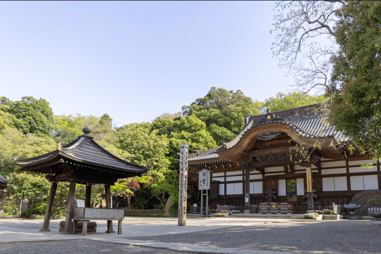 東京人文賞楓三熱點 江戶庭園 高尾山博物館 深大寺等紅葉與文化交織 東京人文賞楓三熱點 江戶庭園 高尾山博物館 深大寺等紅葉與文化交織