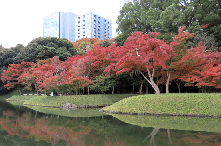 東京人文賞楓三熱點 江戶庭園 高尾山博物館 深大寺等紅葉與文化交織 東京人文賞楓三熱點 江戶庭園 高尾山博物館 深大寺等紅葉與文化交織