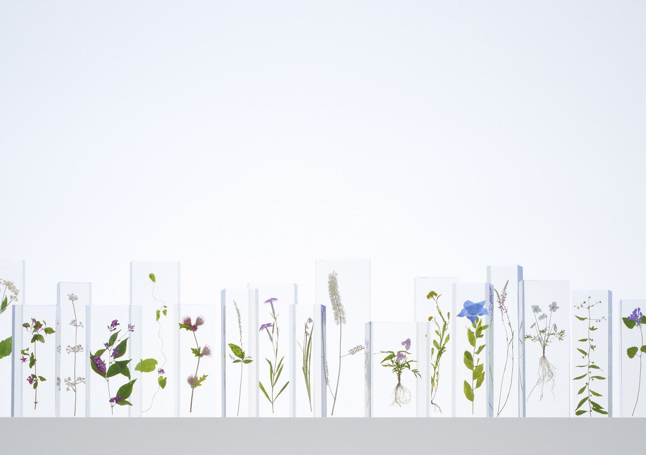 東京人文賞楓三熱點 江戶庭園 高尾山博物館 深大寺等紅葉與文化交織 東京人文賞楓三熱點 江戶庭園 高尾山博物館 深大寺等紅葉與文化交織