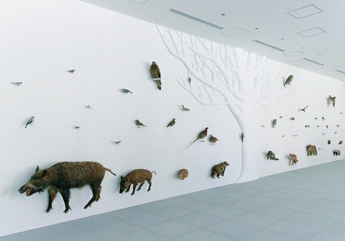 東京人文賞楓三熱點 江戶庭園 高尾山博物館 深大寺等紅葉與文化交織 東京人文賞楓三熱點 江戶庭園 高尾山博物館 深大寺等紅葉與文化交織