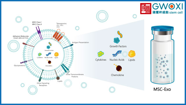 生醫科技大廠商國璽幹細胞拓展國際合作再下一城 強強聯手KWNG集團拓展大馬寵物醫療市場 生醫科技大廠商國璽幹細胞拓展國際合作再下一城 強強聯手KWNG集團拓展大馬寵物醫療市場