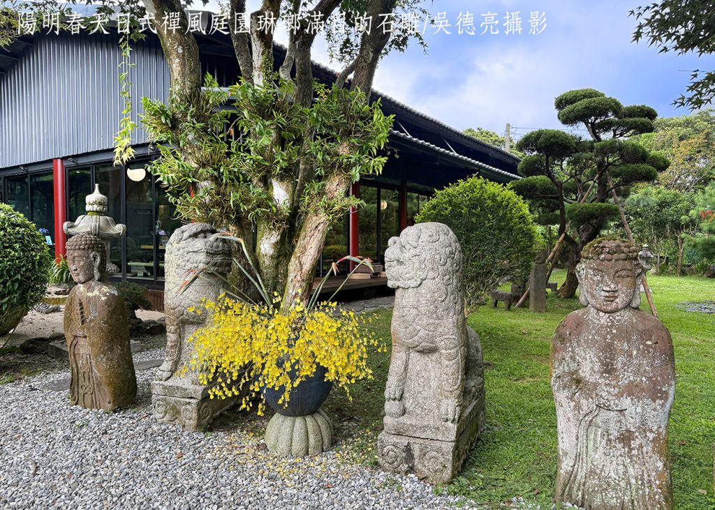 日本留台女大生的茶道盛饗 抹茶、三線、和服秀 日本留台女大生的茶道盛饗 抹茶、三線、和服秀