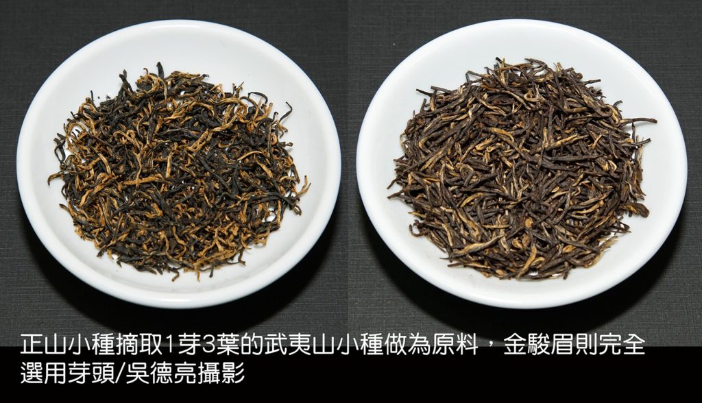 世界紅茶發源地-武夷山星村鎮桐木村 世界紅茶發源地-武夷山星村鎮桐木村