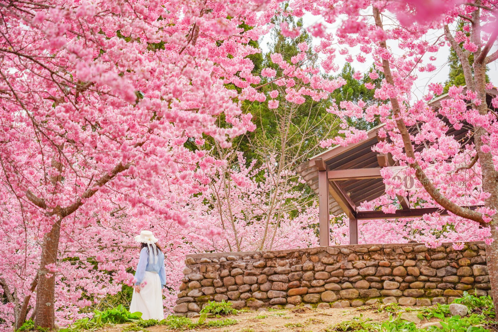 亮點台中再添光彩 秋冬走訪山城人文與自然風光 亮點台中再添光彩 秋冬走訪山城人文與自然風光
