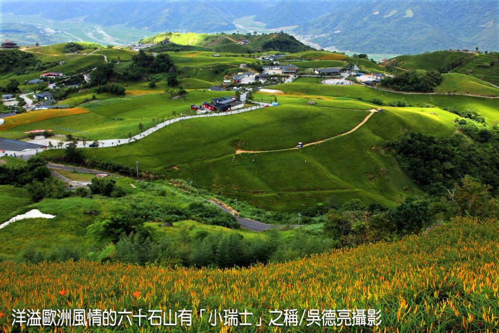 茶香與金針花在東台灣小瑞士共舞 茶香與金針花在東台灣小瑞士共舞