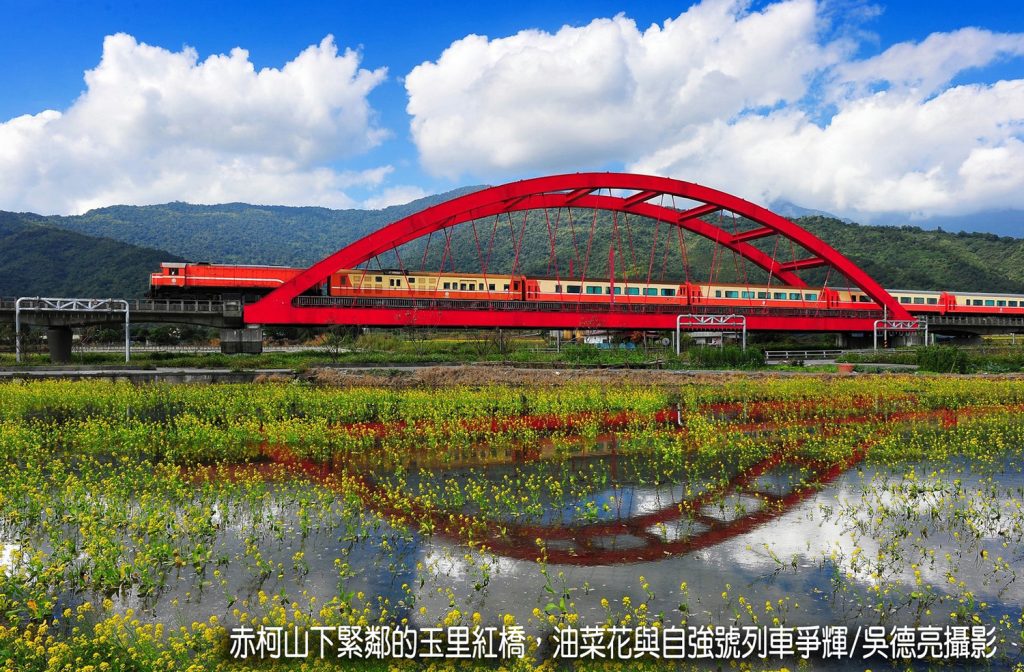 茶香與金針花在東台灣小瑞士共舞 茶香與金針花在東台灣小瑞士共舞