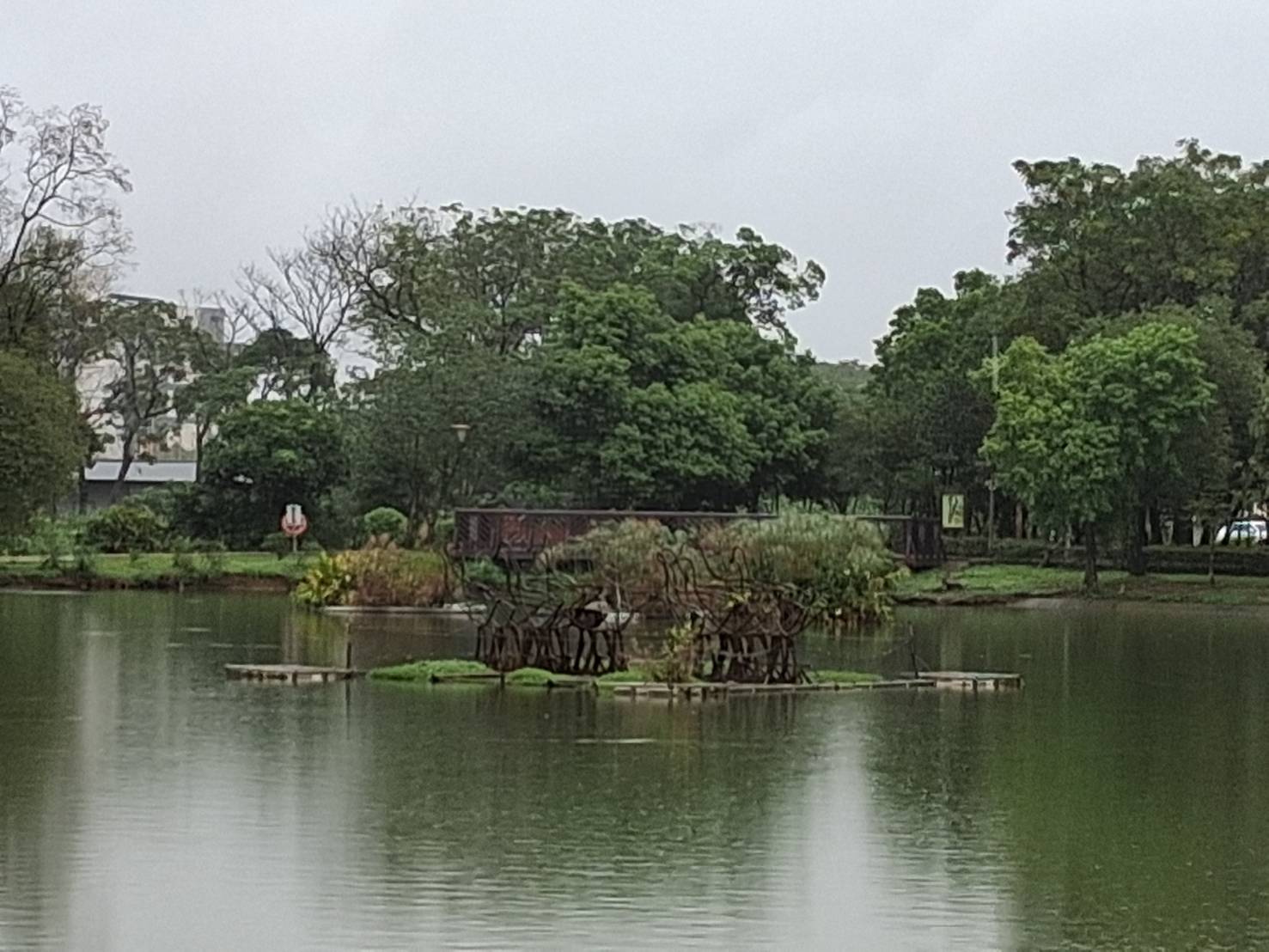 桃園綠色秘境八德埤塘生態公園 鴨群漫游夜鷺候鳥棲息親子遊首選 桃園綠色秘境八德埤塘生態公園 鴨群漫游夜鷺候鳥棲息親子遊首選
