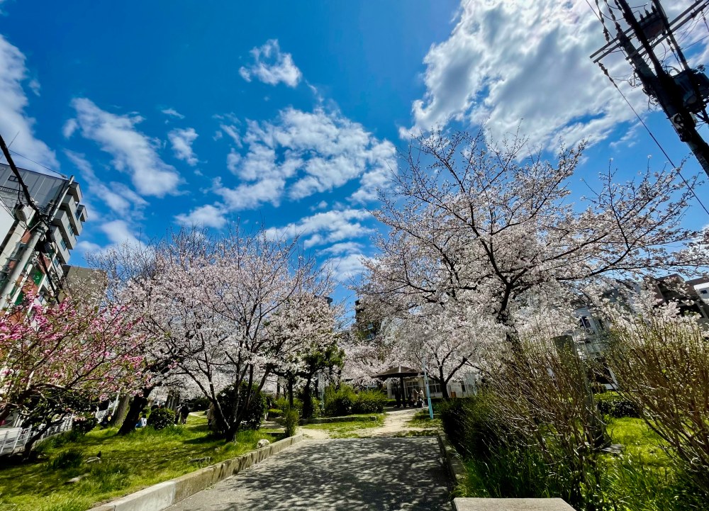 開啟日本留學申請代辦新篇章!優夏國際顧問(UJAPAN)以大阪在地團隊打造安心體驗 15 03%E5%84%AA%E5%A4%8F%E5%9C%8B%E9%9A%9B%E9%A1%A7%E5%95%8F%E4%BB%A5%E5%A4%A7%E9%98%AA%E5%9C%A8%E5%9C%B0%E5%9C%98%E9%9A%8A%E6%89%93%E9%80%A0%E5%AE%89%E5%BF%83%E9%AB%94%E9%A9%97