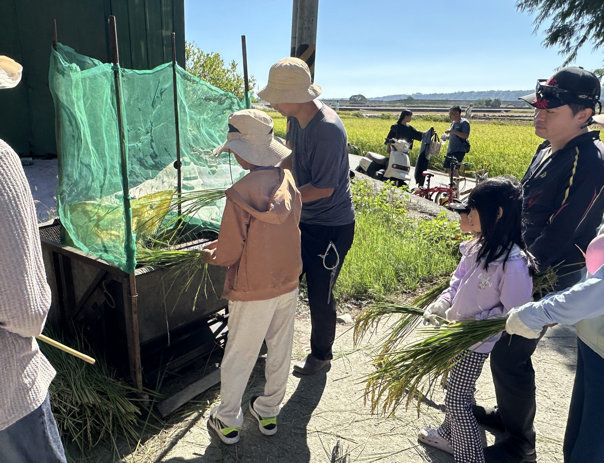 忘憂谷飄稻香 中市食農體驗樂營 感受土地生命力 忘憂谷飄稻香 中市食農體驗樂營 感受土地生命力