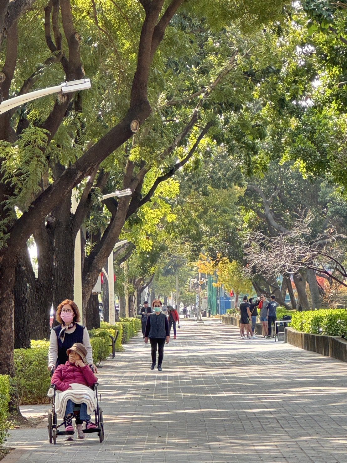 連續4年榮耀再現！　中市建設局獲頒114年度健康暨高齡友善城市「無礙獎」及「海報獎」雙重肯定！