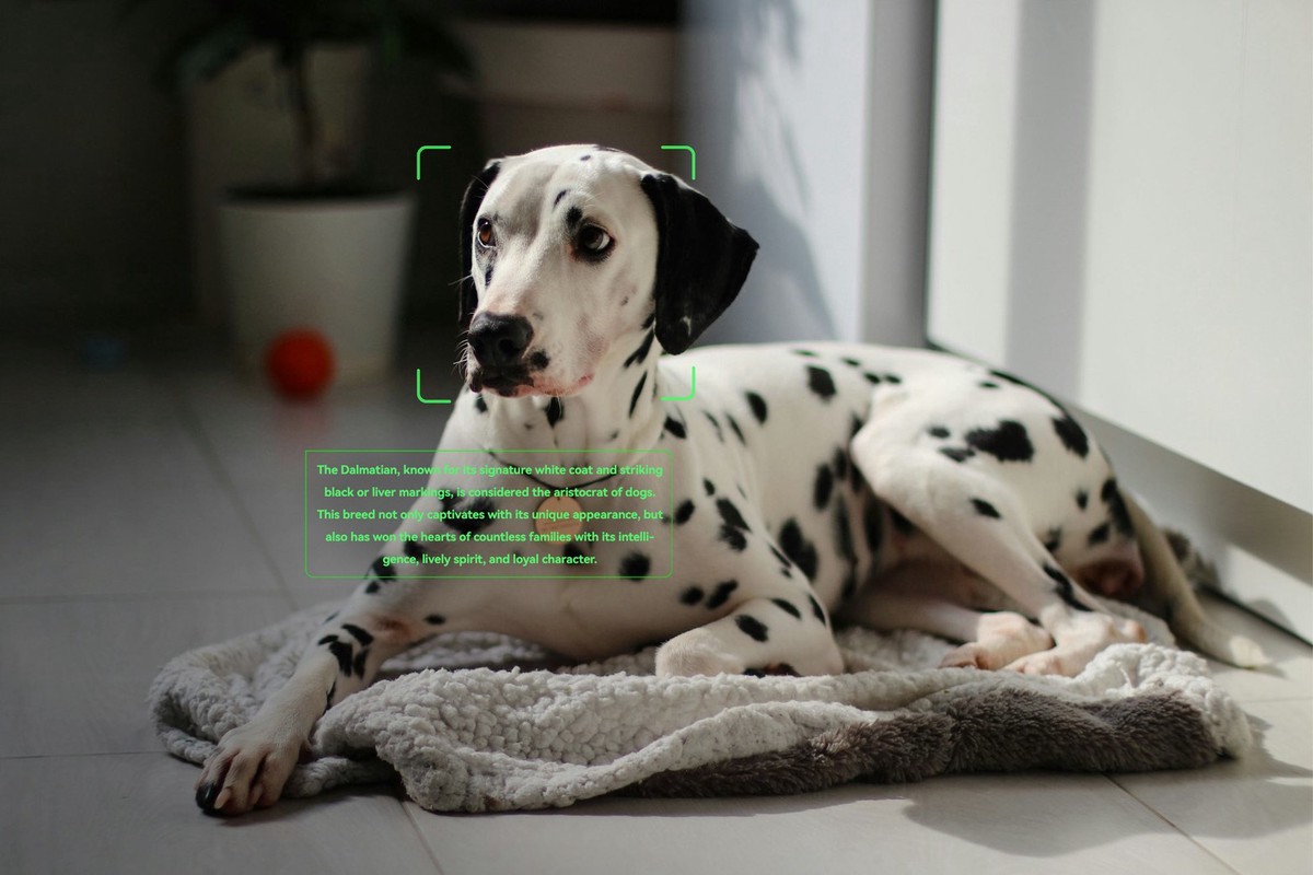 嘖嘖開賣不到7天突破3千萬!樂奇Rokid Glasses AI智慧眼鏡引爆話題 旅展與資訊月同步登場 嘖嘖開賣不到7天突破3千萬!樂奇Rokid Glasses AI智慧眼鏡引爆話題 旅展與資訊月同步登場