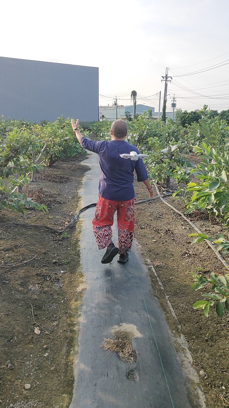 聖帝宮造生基落址高雄大崗山龍穴 關聖帝君欽點寶地吸引全台善信轉運 聖帝宮造生基落址高雄大崗山龍穴 關聖帝君欽點寶地吸引全台善信轉運