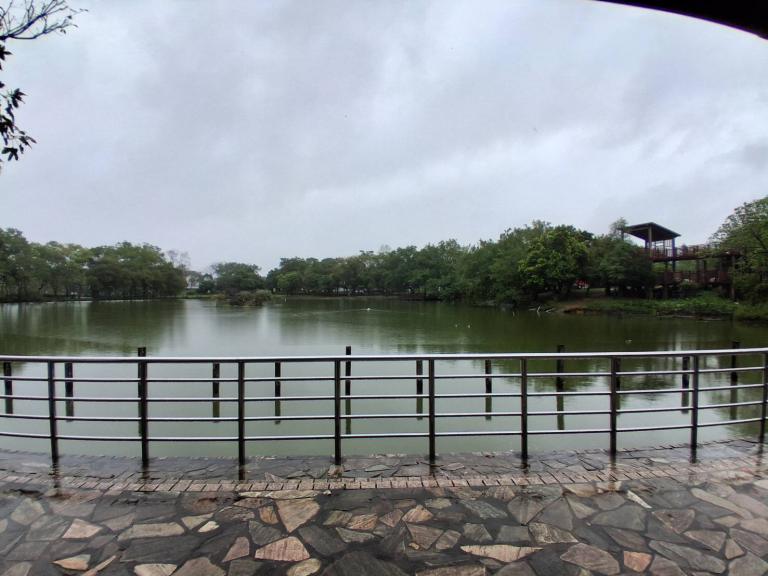 八德埤塘展現濕地生態魅力 自然教育體驗走入城市珍貴生態寶庫 八德埤塘展現濕地生態魅力 自然教育體驗走入城市珍貴生態寶庫