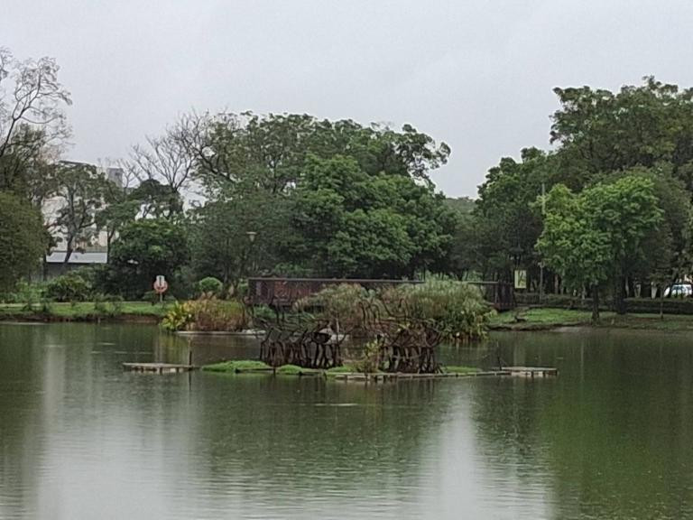 八德埤塘展現濕地生態魅力 自然教育體驗走入城市珍貴生態寶庫 八德埤塘展現濕地生態魅力 自然教育體驗走入城市珍貴生態寶庫