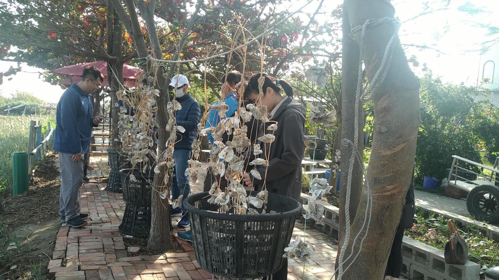 候鳥季來了　嘉義縣文觀局推「鷺境嘉義」親子賞鳥活動