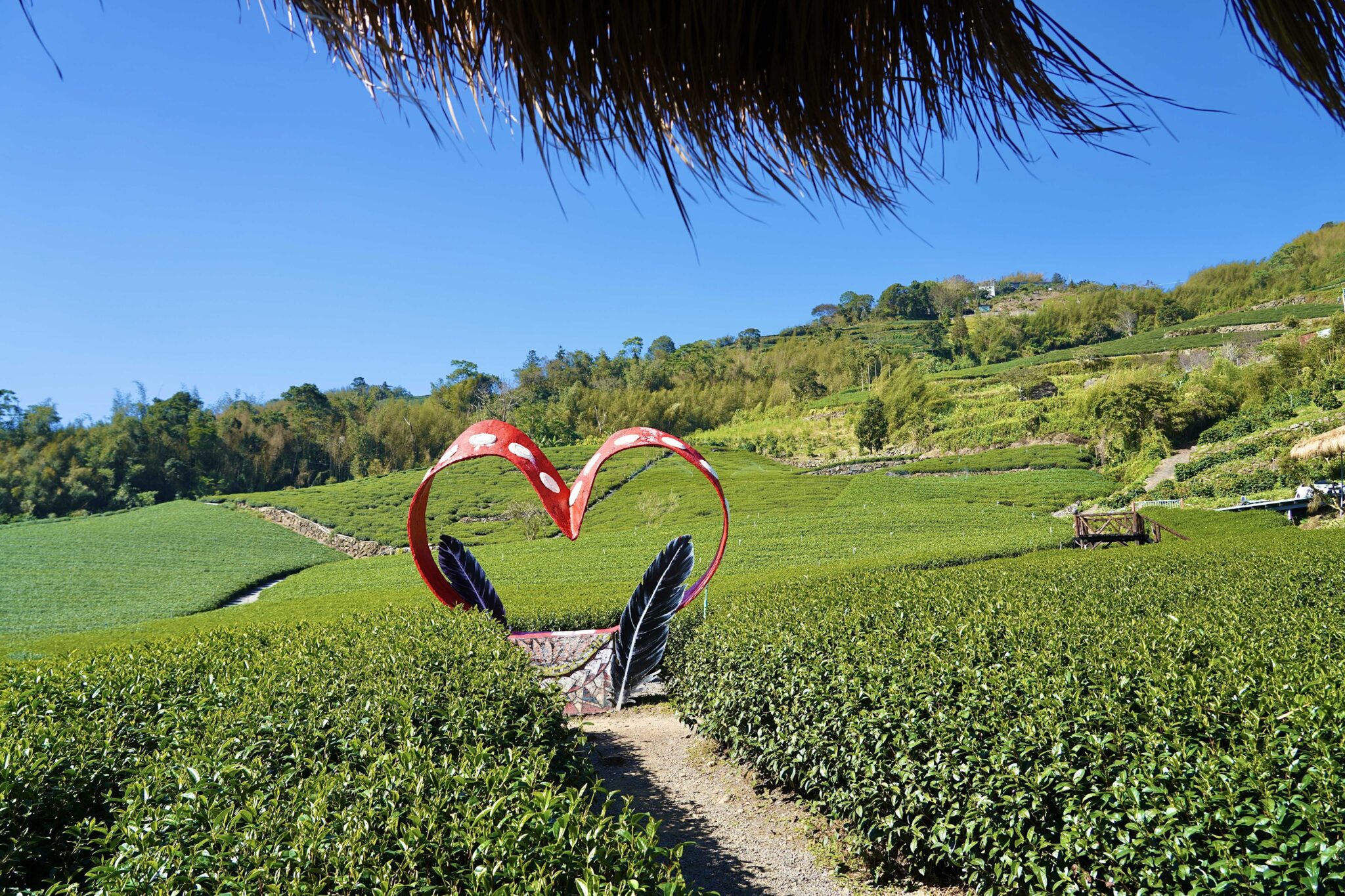 「2025嘉義縣部落旅遊節」12月6、7日登場　邀您深入阿里山鄒族之旅