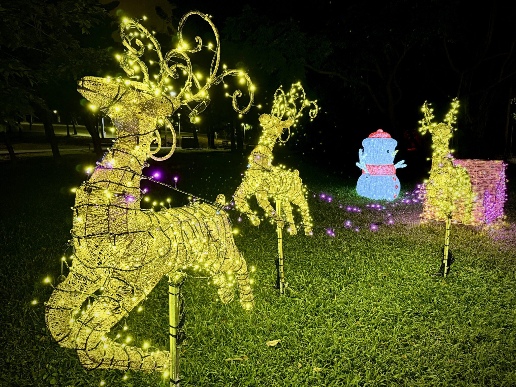 耶誕愛無限點亮臺北夜空　蔣萬安邀市民一起迎接溫暖年末