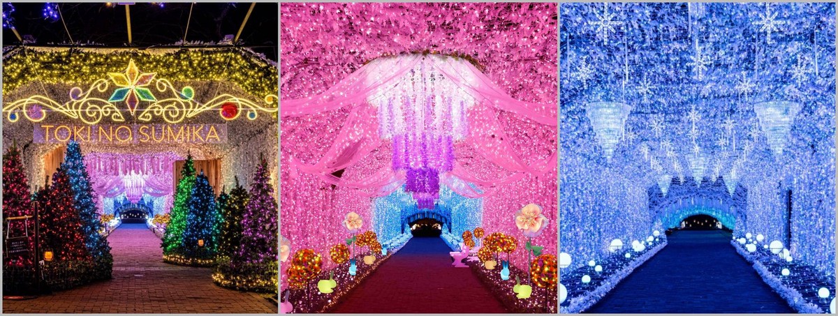 550萬顆燈光點亮「魔法森林」日本最靠近富士山的冬季燈飾節開幕 550萬顆燈光點亮「魔法森林」日本最靠近富士山的冬季燈飾節開幕