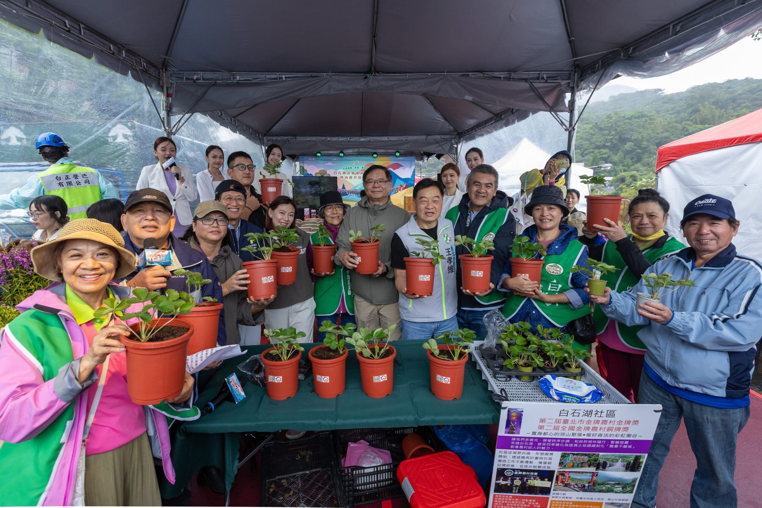 白石湖吊橋重生啟用　草莓季甜蜜迎冬