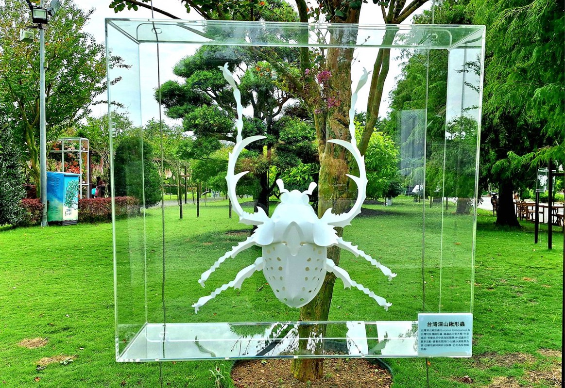 親子彰化遊!成美文化園全新6大展區登場 「昆蟲創藝」展超吸睛 親子彰化遊!成美文化園全新6大展區登場 「昆蟲創藝」展超吸睛