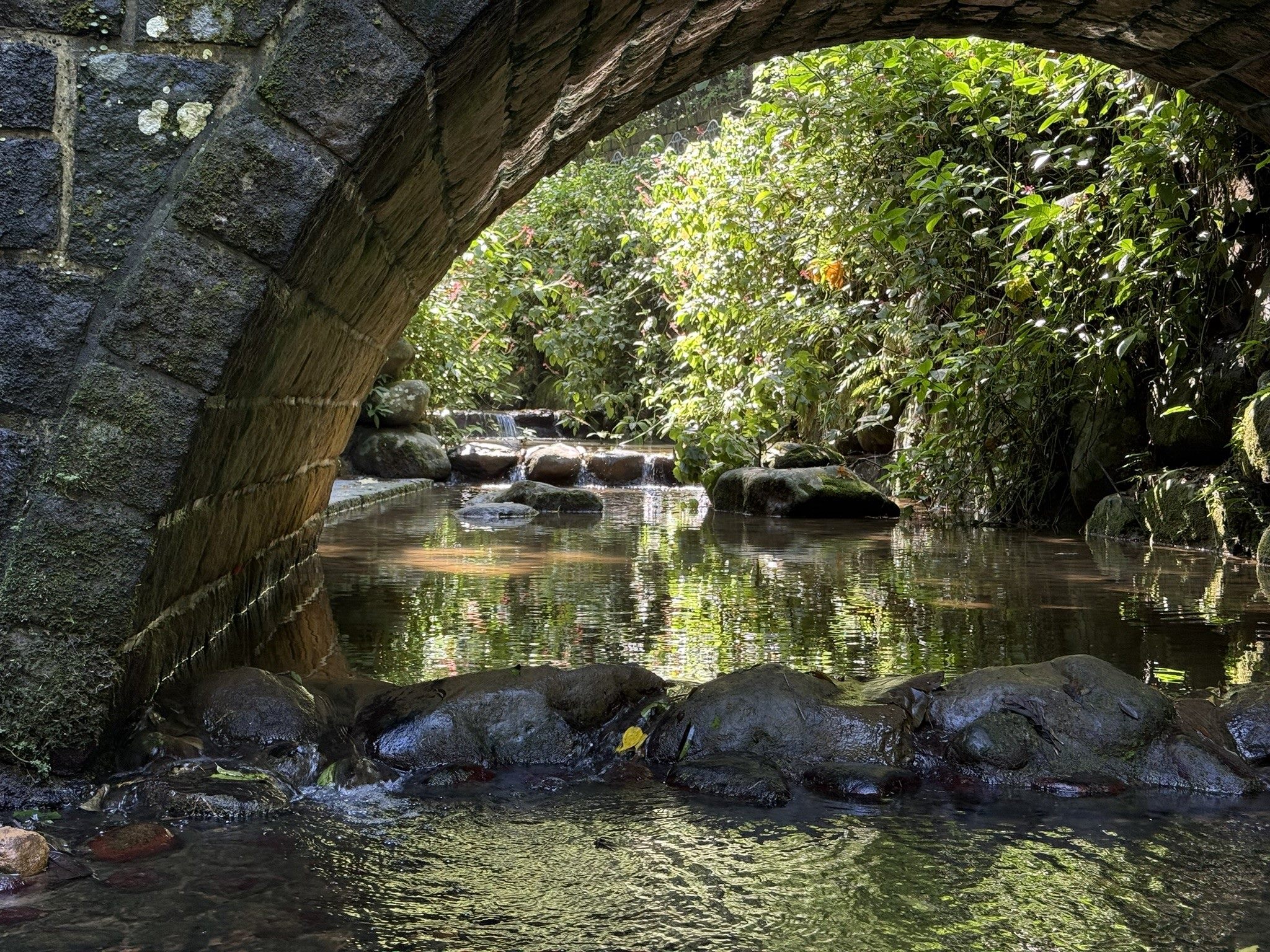 秋日雅行 北市首選虎山溪 享受深層慢活時光 秋日雅行 北市首選虎山溪 享受深層慢活時光