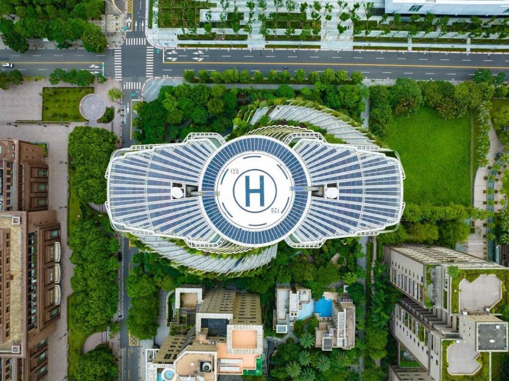 信義商圈楓香有故事　認養人細心呵護打造最美麗風景