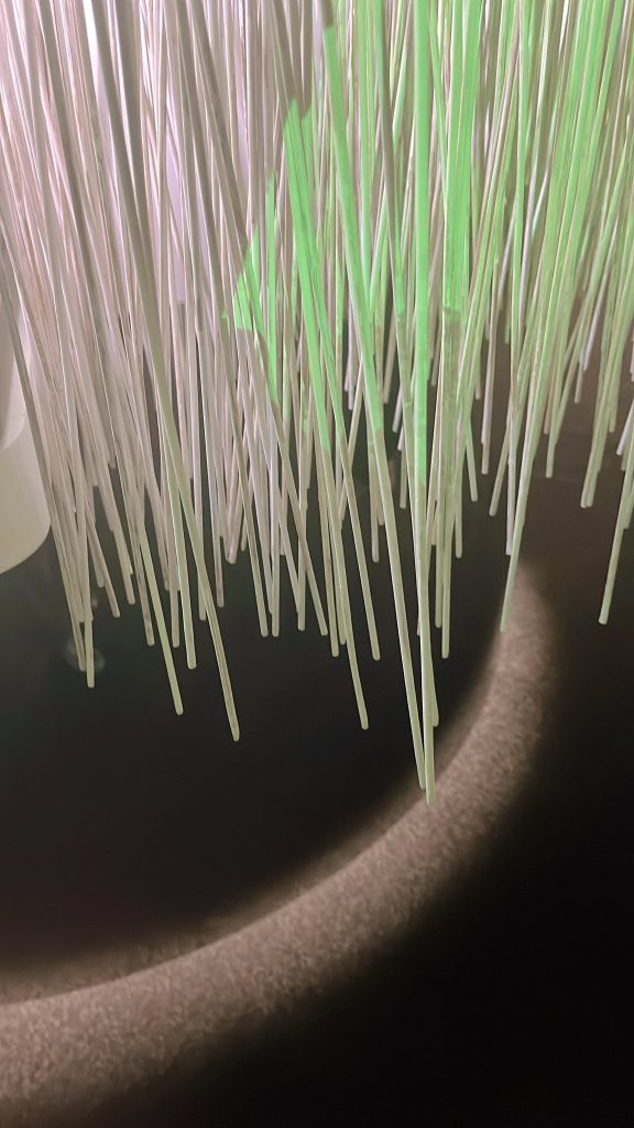 《藝》起走走 @Cindy Chao 《藝》起走走 @Cindy Chao