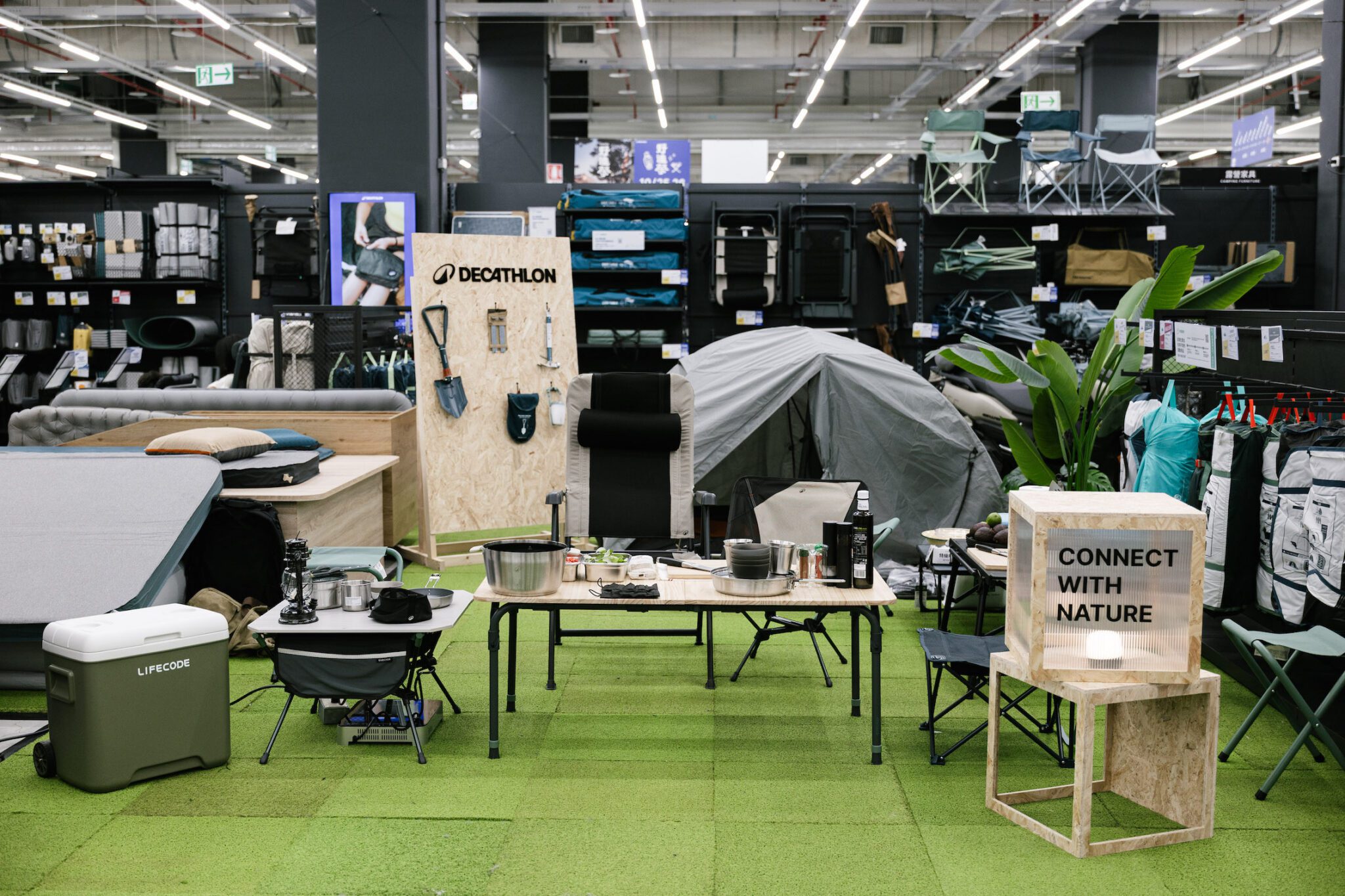 迪卡儂「野迪祭」攜手大淵　以沉浸體驗開啟新生活態度