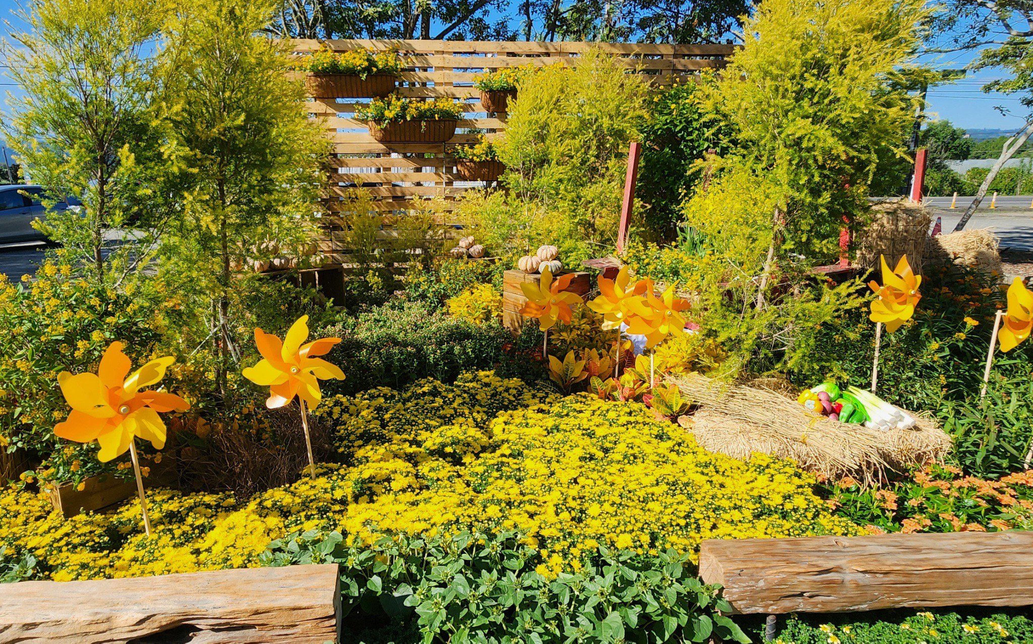 2025埔里花卉展暨南投花卉嘉年華　11/22繽紛登場！