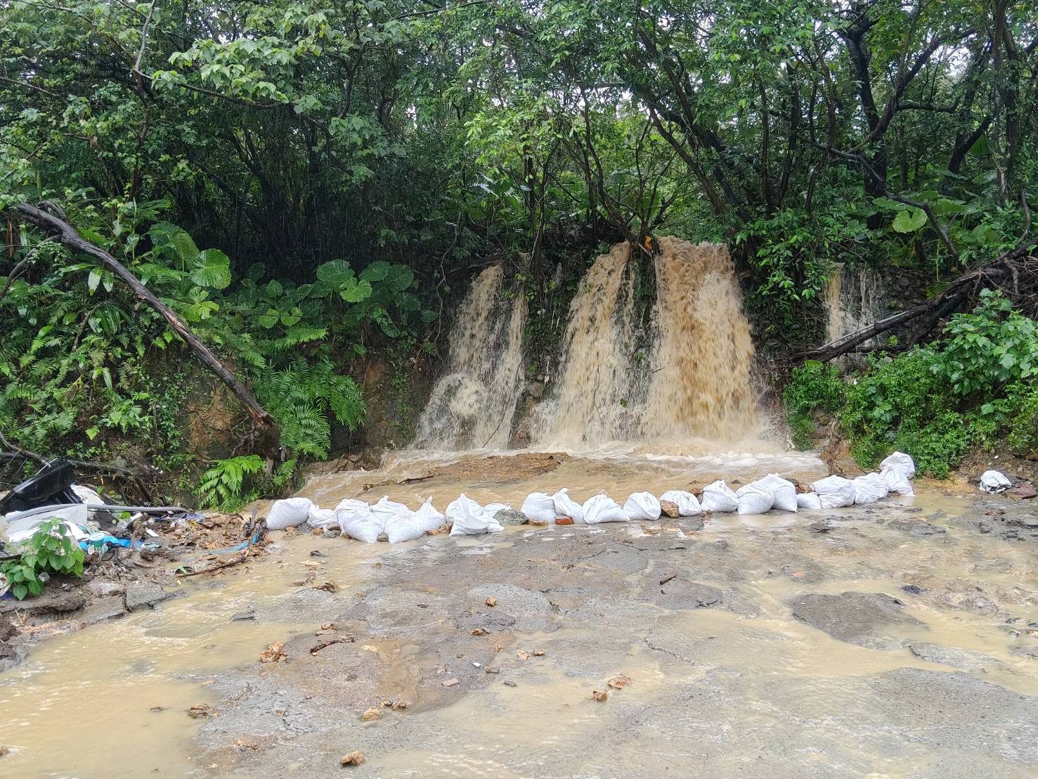 基隆陸湖環湖踏勘　市府：水位環境穩定將改善排水